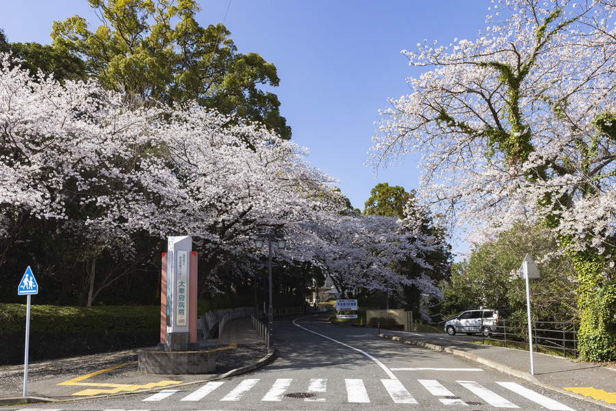 写真：病院への坂道 現在